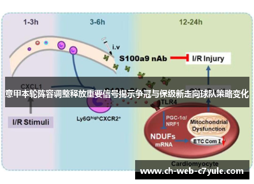 意甲本轮阵容调整释放重要信号揭示争冠与保级新走向球队策略变化 意甲本轮阵容调整释放重要信号揭示争冠与保级新走向球队策略变化