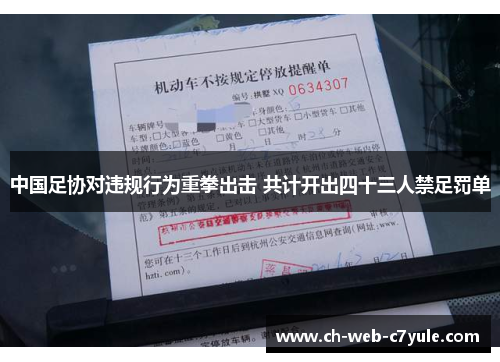 中国足协对违规行为重拳出击 共计开出四十三人禁足罚单 中国足协对违规行为重拳出击 共计开出四十三人禁足罚单