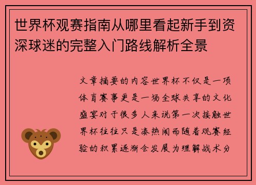 世界杯观赛指南从哪里看起新手到资深球迷的完整入门路线解析全景