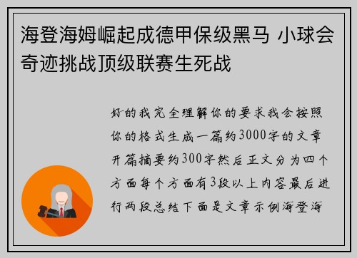 海登海姆崛起成德甲保级黑马 小球会奇迹挑战顶级联赛生死战